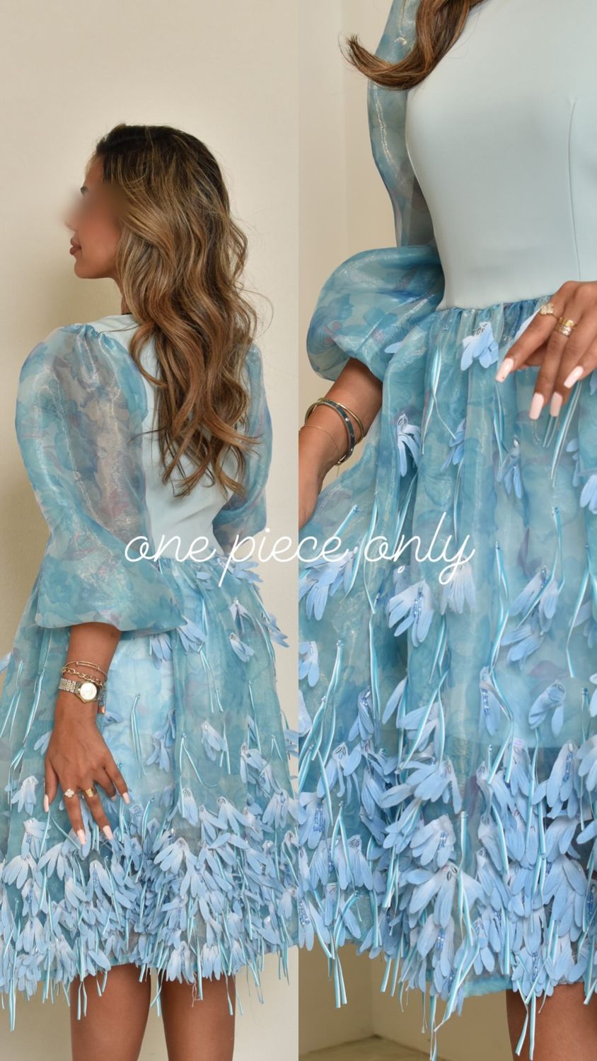 Applique skirt set